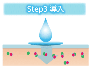 STEP3 導入