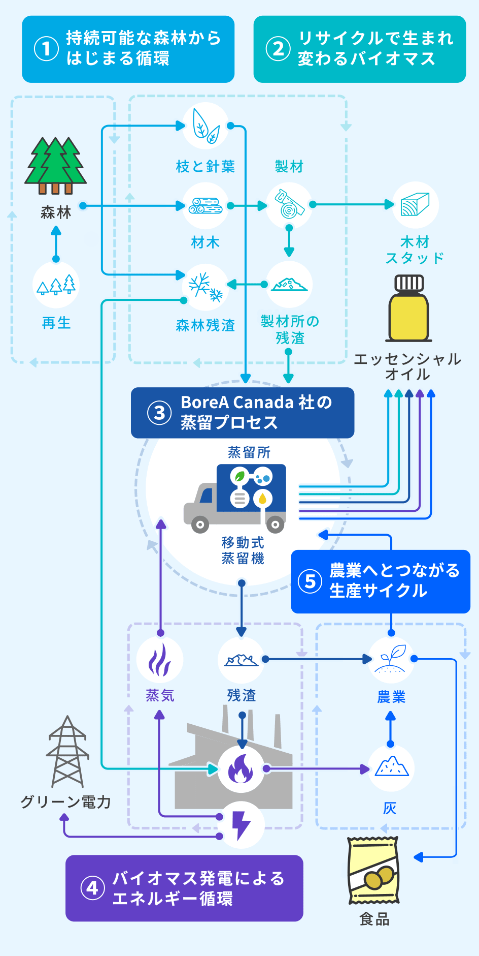 循環型経済プロセスを示す図