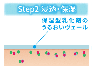 STEP2 浸透・保湿