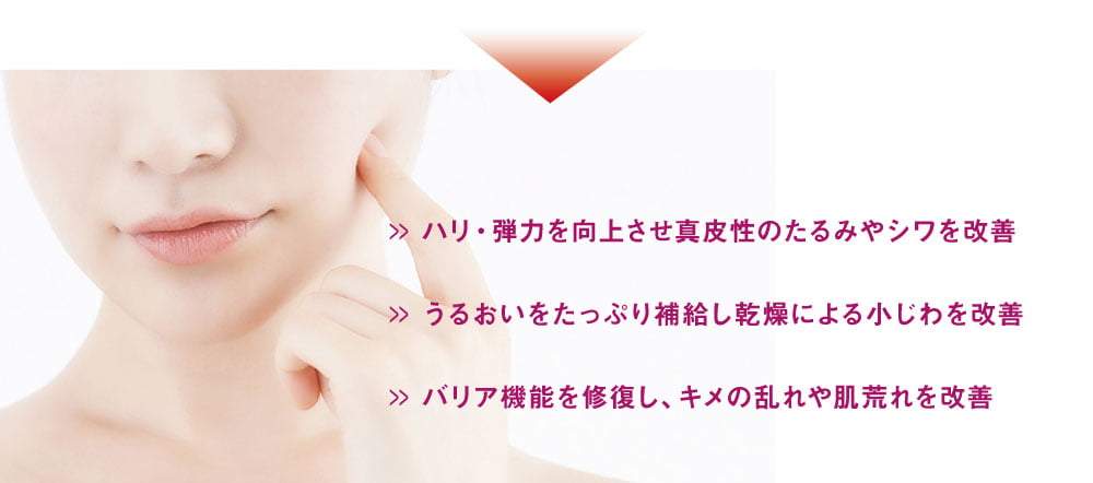 ハリ・弾力を向上させ真皮性のたるみやシワを改善/うるおいをたっぷり補給し乾燥による小じわを改善/バリア機能を修復し、キメの乱れや肌荒れを改善