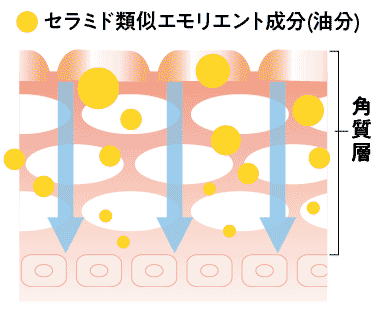 セラミド類似エモリエント成分(油分)