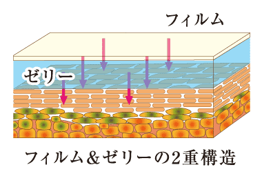 フィルム＆ゼリーの2重構造