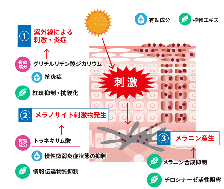 紫外線ダメージ＆メラニン生成抑制