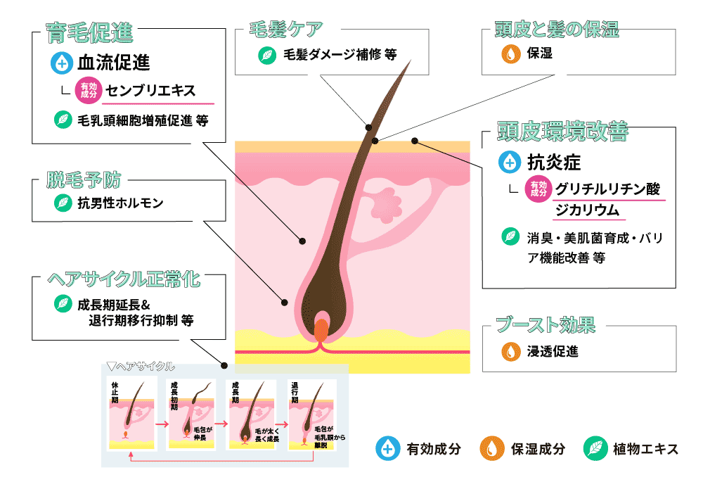 効果イメージ図