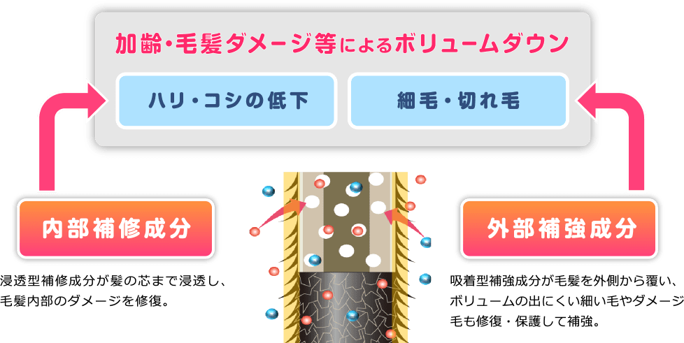 内部補修成分：浸透型補修成分が髪の芯まで浸透し、毛髪内部のダメージを修復。外部補強成分：吸収型補強成分が毛髪を外側から覆い、ボリュームの出にくい細い髪やダメージ毛も修復・保護して補強