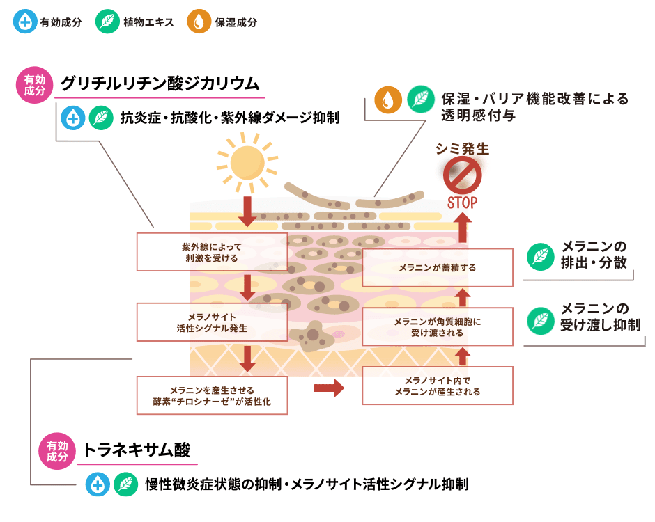 薬用ブライトニングジェルクリームの効果イメージ図