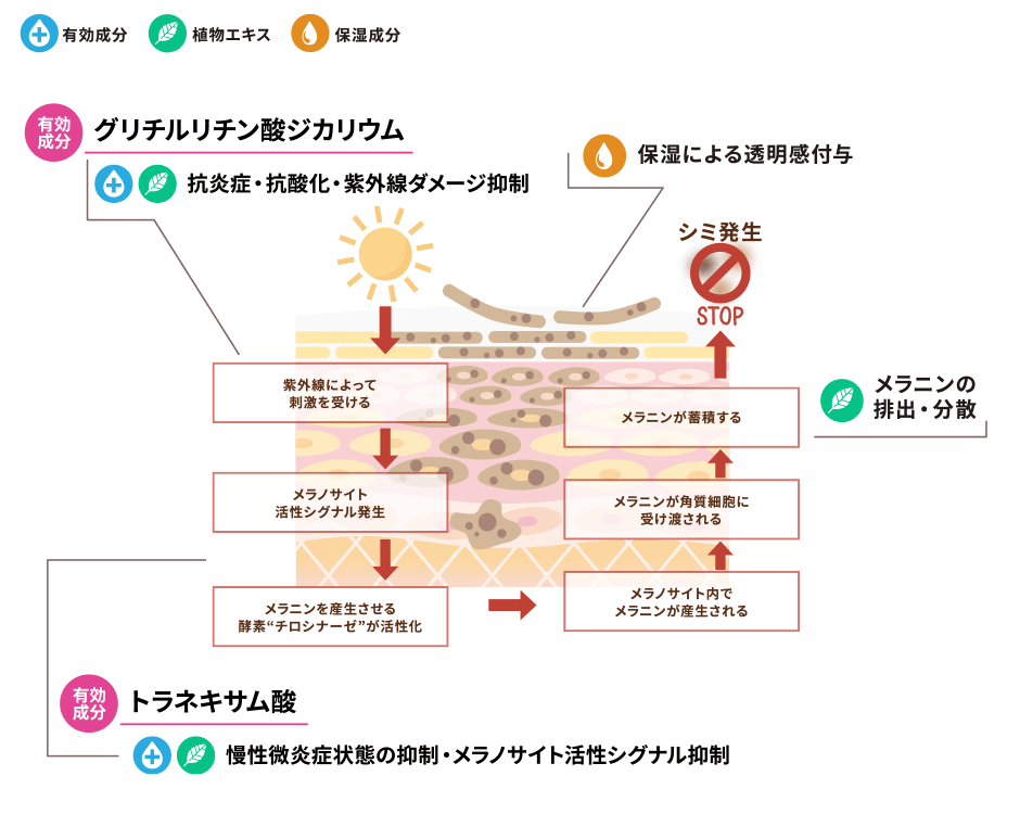 薬用ブライトニングローションの効果イメージ図
