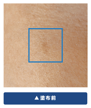 塗布前