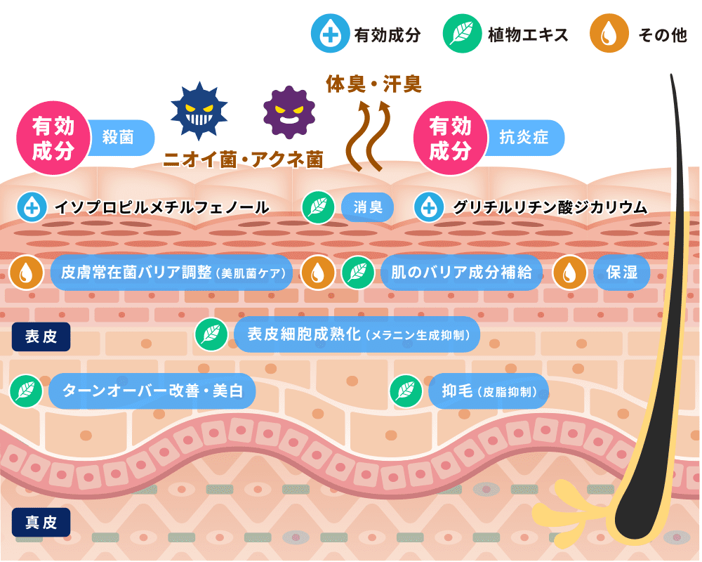 薬用ボディウォッシュ(デオドラントボディソープ)の効果イメージ図