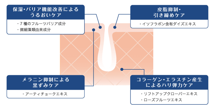 保湿・バリア機能改善によるうるおいケア:・7種のフルーツバリア成分・微細藻類由来成分|皮脂抑制・引き締めケア:・イソフラボン含有ダイズエキス|メラニン抑制による黒ずみケア:・アーティチョークエキス|コラーゲン・エラスチン産生によるハリ弾カケア:・リフトアップクローバーエキス・ローズフルーツエキス