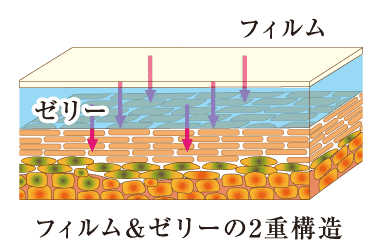 フィルムとセリーの2重構過の図