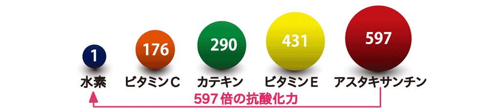 抗酸化成分と分子量を比較図
