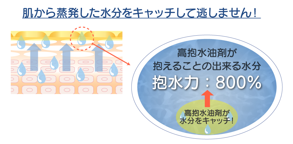 濃密保湿クリームの抱水力