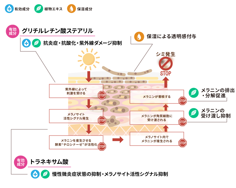 薬用ホワイトニングクリーミーエマルション（HC美白クリーム）の効果イメージ